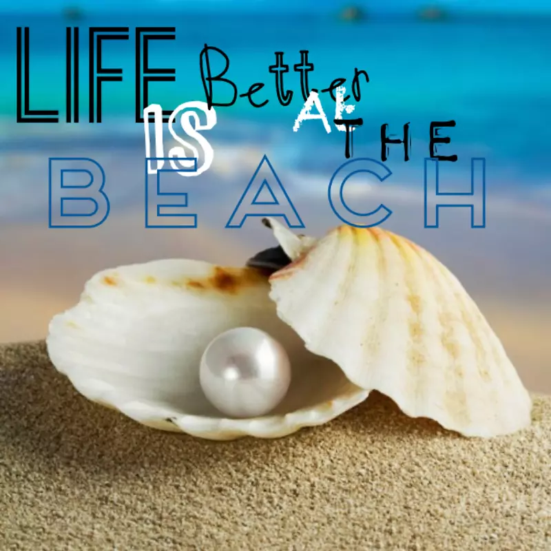 阿科亚珍珠牡蛎珍珠贝壳
