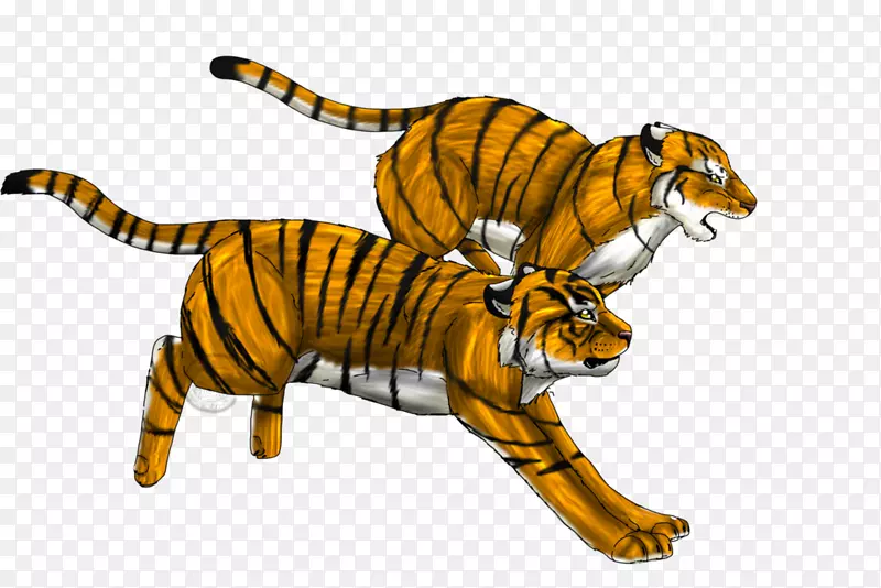 虎跑猎豹动画-老虎