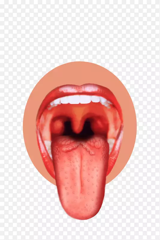 舌觉感觉神经系统味蕾人嘴舌