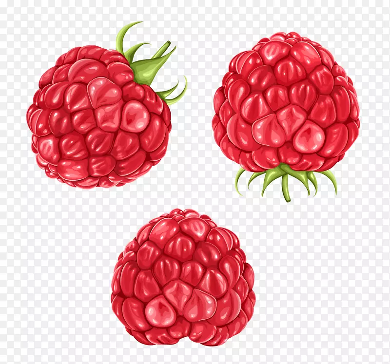 覆盆子黑莓水果剪辑艺术-覆盆子