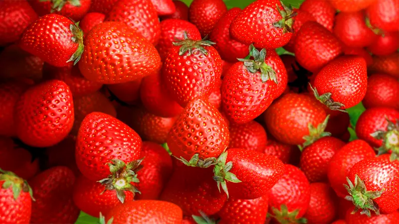 草莓食品花青素-草莓