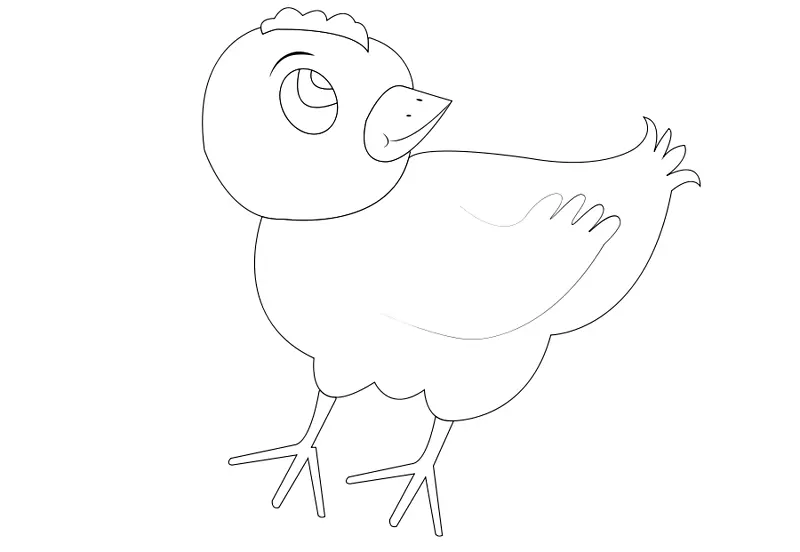 鸡鸟画片艺术.鸡