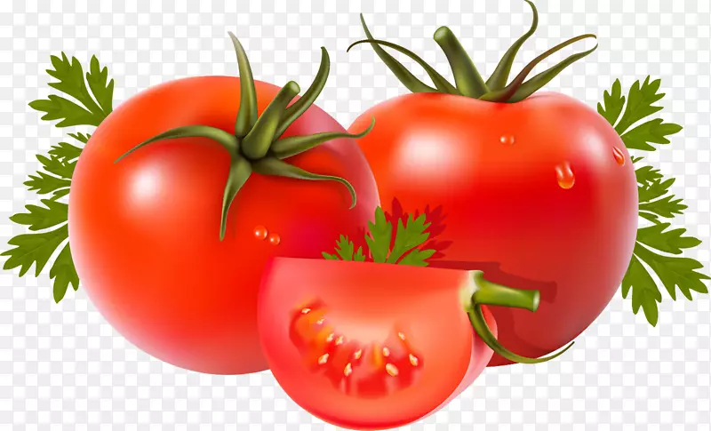 番茄蔬菜铃椒食品-番茄