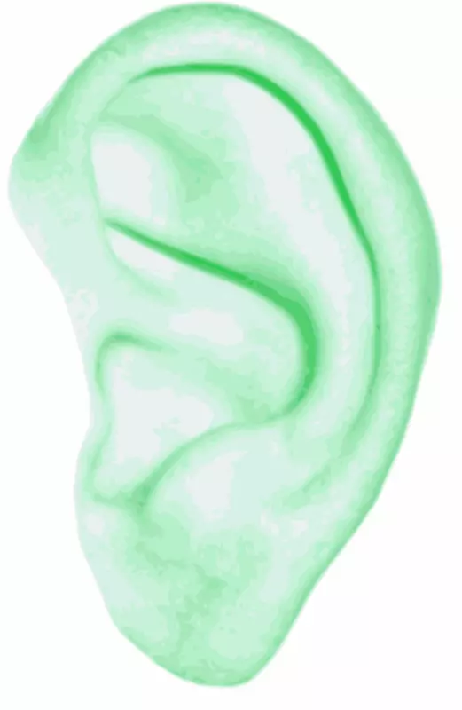 耳人体剪贴画-人体轮廓