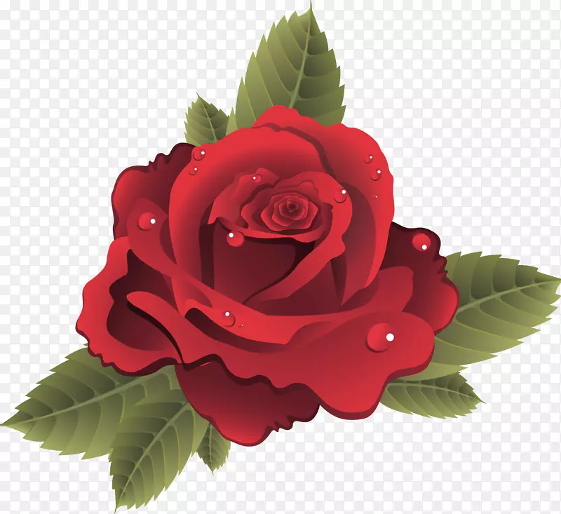 静物：粉红色的玫瑰，花-玫瑰