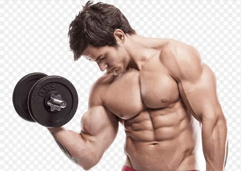 肌肉肥大力量训练健美体力-哑铃