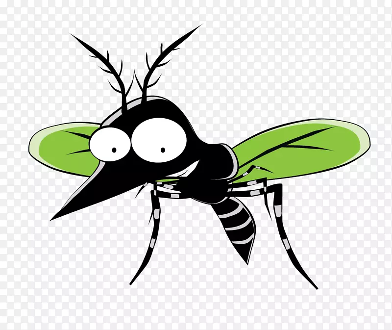 昆虫蚊子蚂蚁卡通-蚊子