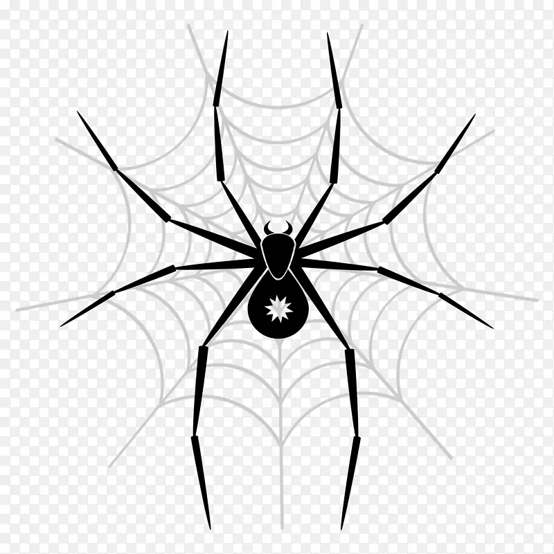 蜘蛛网窗帘剪贴画-蜘蛛