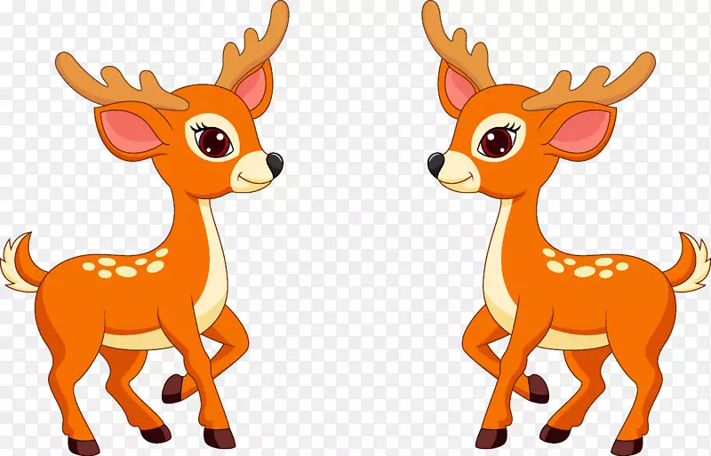 白尾鹿夹艺术鹿