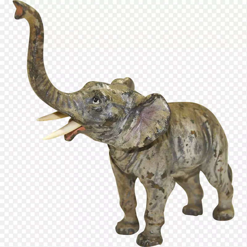 非洲象亚洲象画-大象