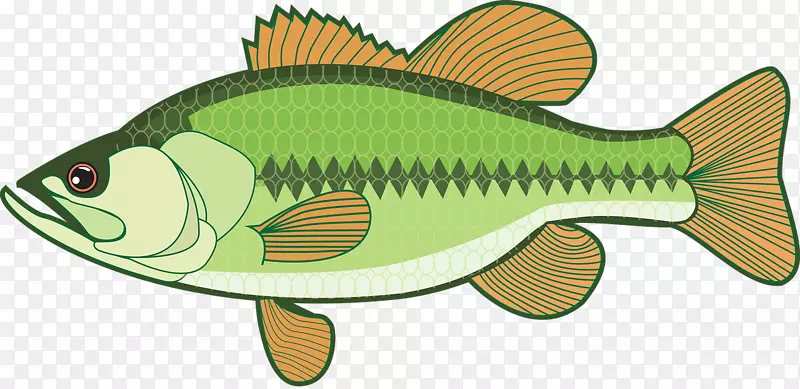 鲈鱼夹艺术-钓鱼