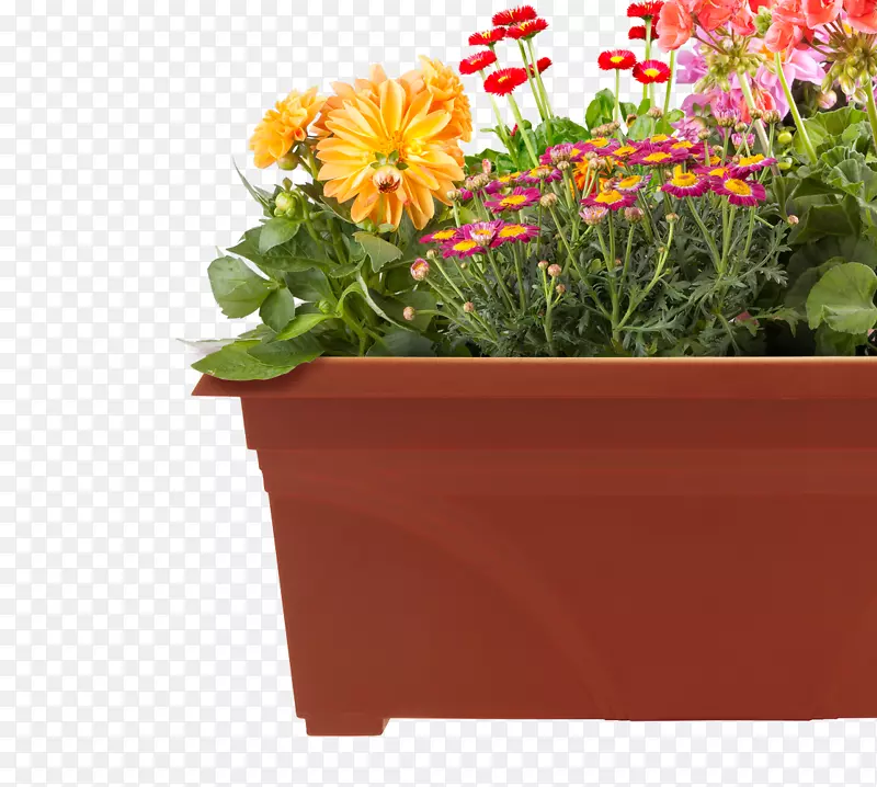 Amazon.com花盆容器花园-天井