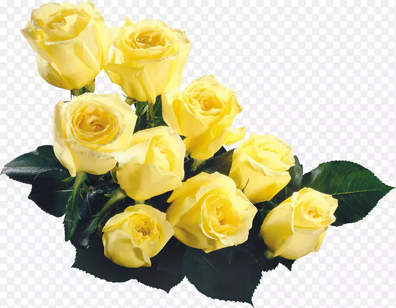 玫瑰花束黄色剪贴画-黄玫瑰