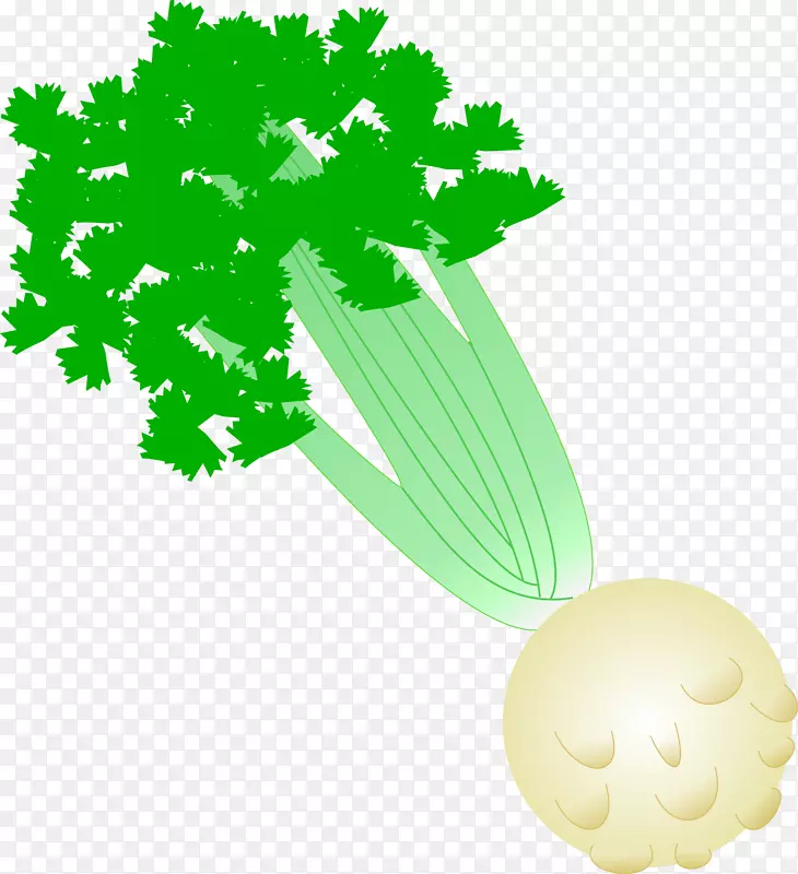 芹菜蔬菜芹菜夹艺术芹菜