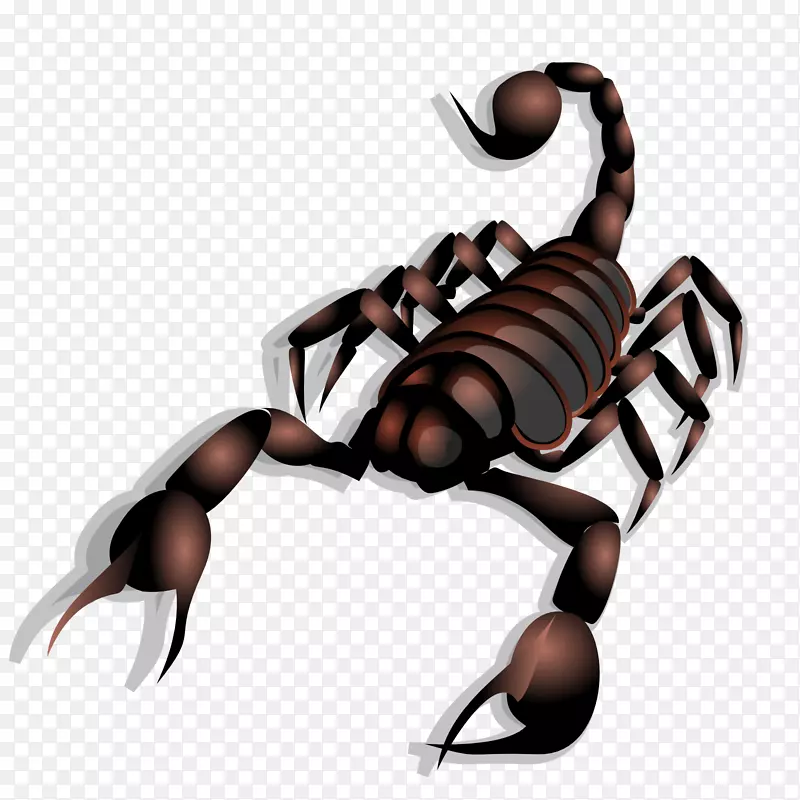 蝎子画片艺术-蝎子