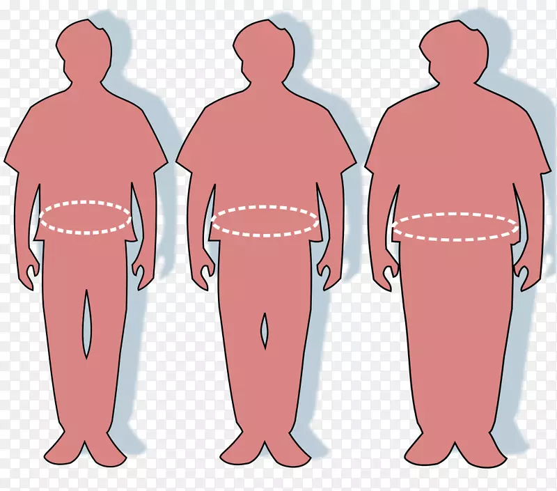 腰部腹部肥胖周长脂肪组织脂肪