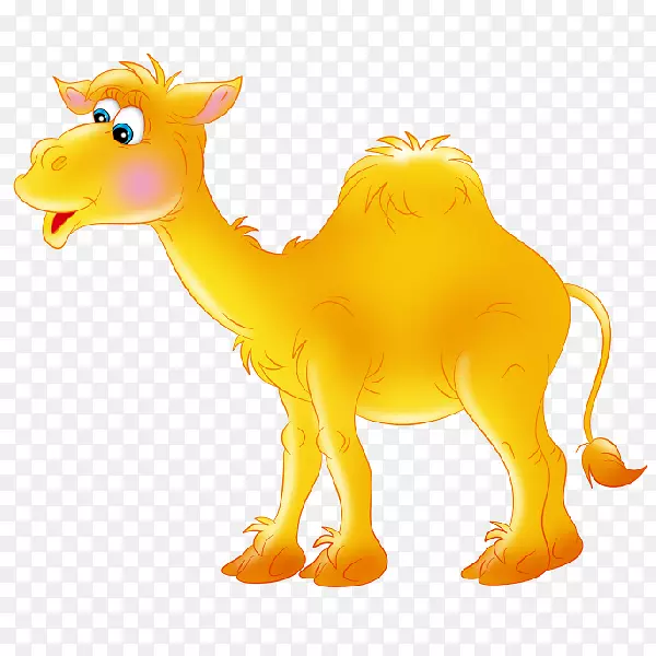骆驼剪贴画-骆驼
