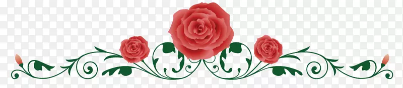 玫瑰藤刺和刺夹艺术玫瑰边缘