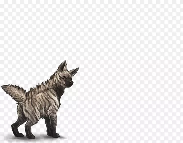 马耳他猫科条纹鬣狗狮子鬣狗