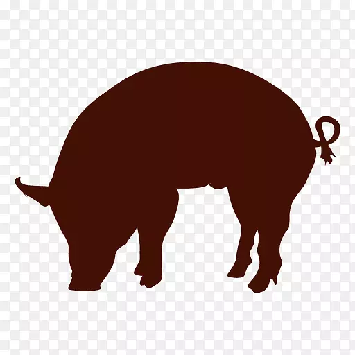 包装标签创意食品包装肉类包装工业-猪