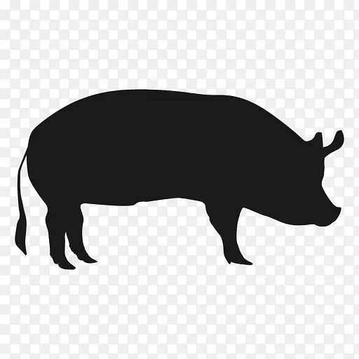 朗尼肉-零售家猪-猪