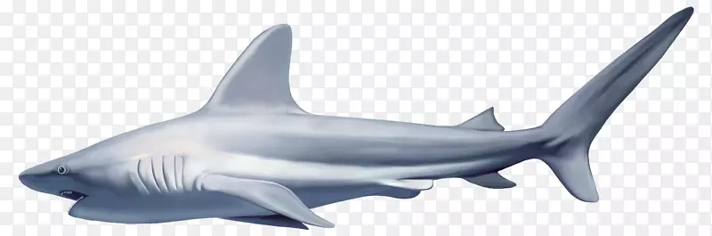 大白鲨鱼剪贴画-鲨鱼