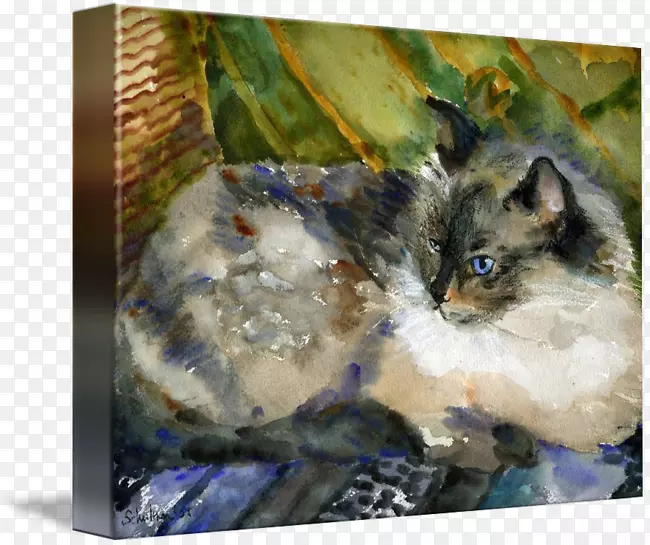 暹罗猫吉娃娃猫科画水彩画动物