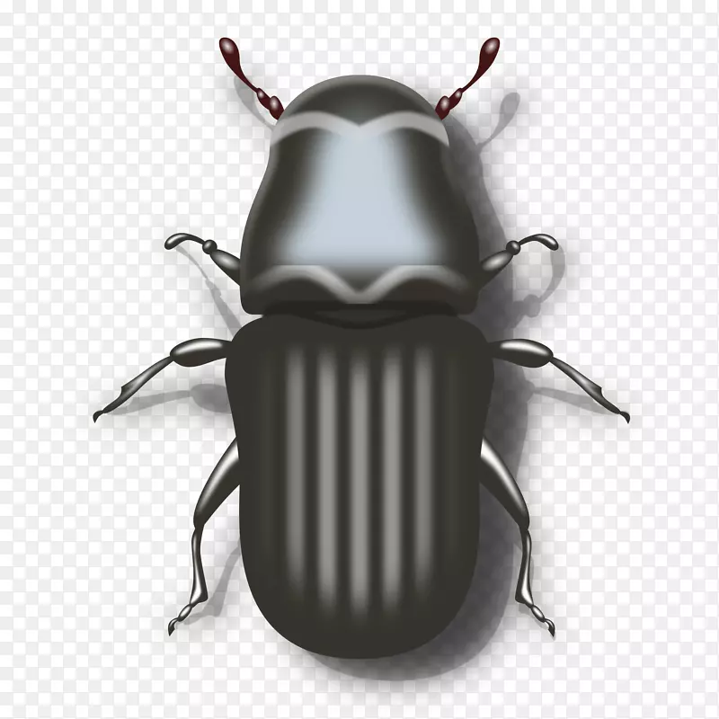 黑甲虫电脑图标瓢虫剪贴画甲虫
