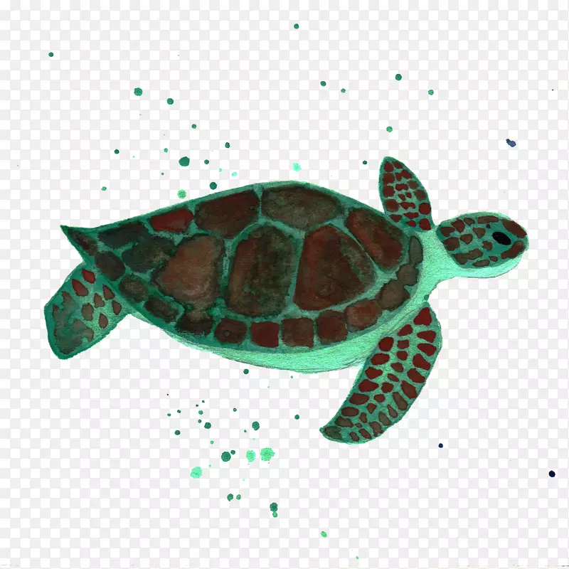 海龟爬行动物-海