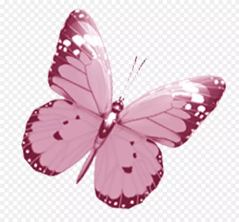 蝴蝶画粉红夹艺术-水彩画蝴蝶
