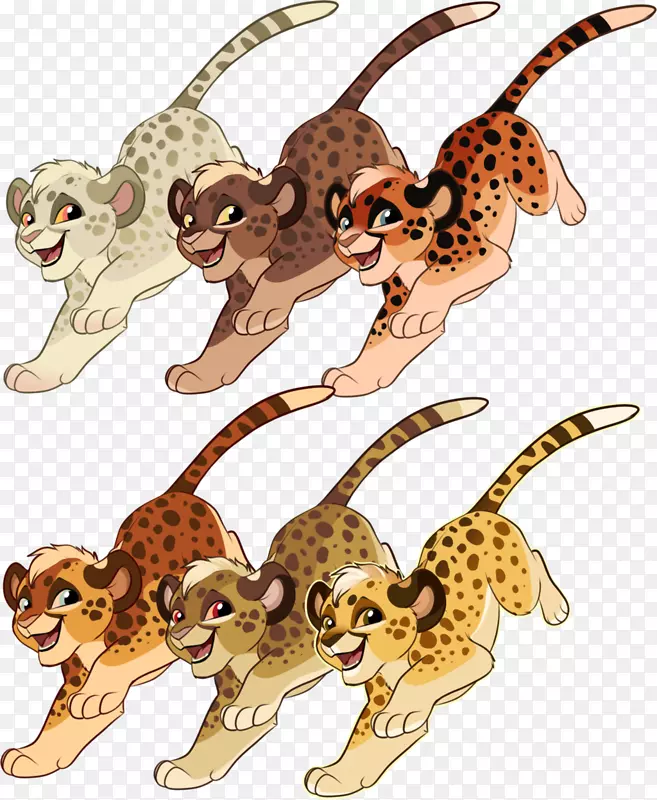 猎豹，猫，狮子，，动物-猎豹