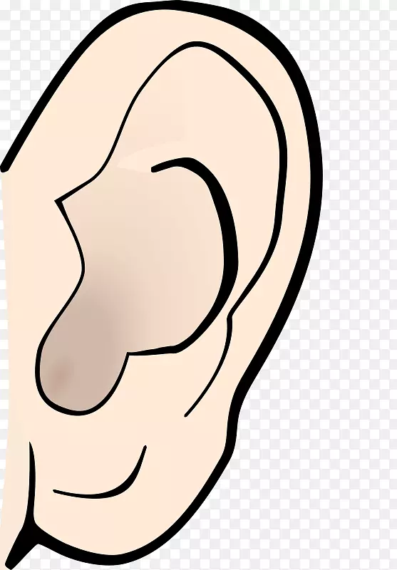 耳解剖夹