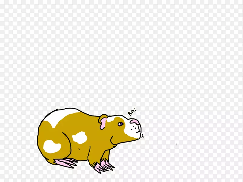啮齿动物大鼠ART-豚鼠