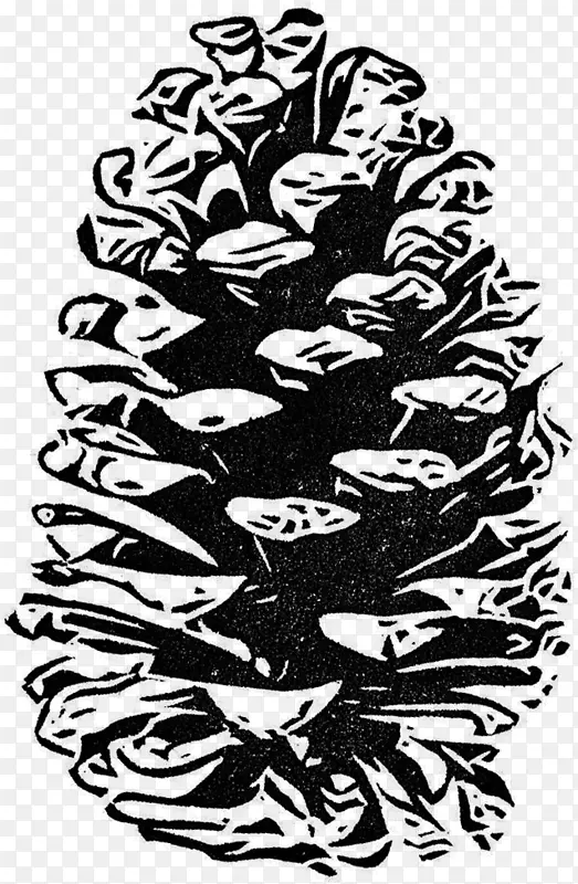 绘画艺术针叶松科松树
