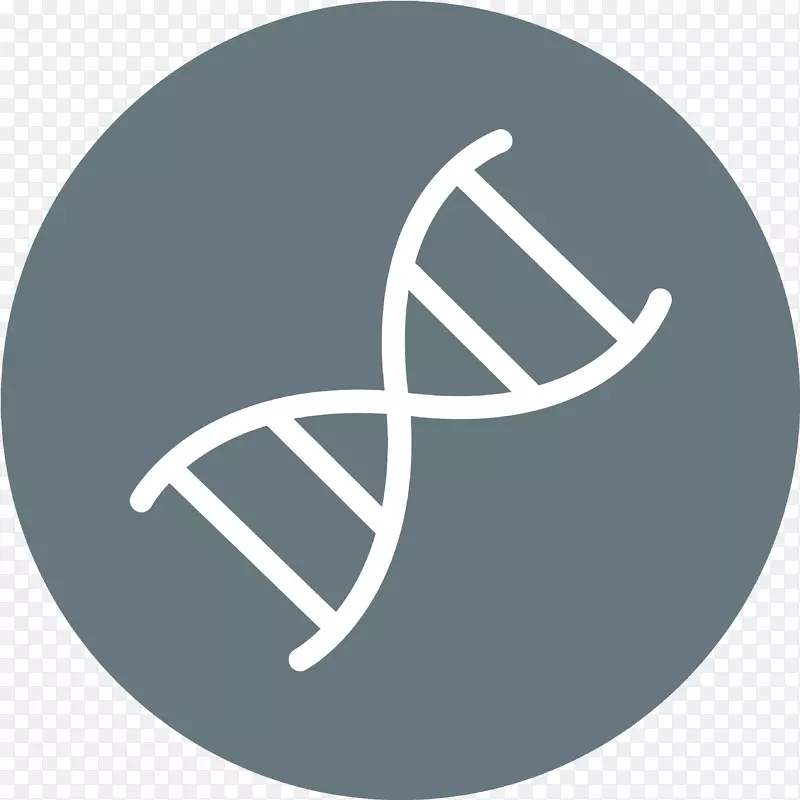 dna核酸双螺旋dna