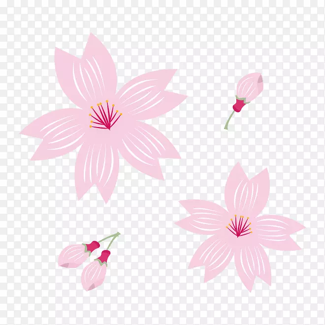 花卉设计花瓣樱花