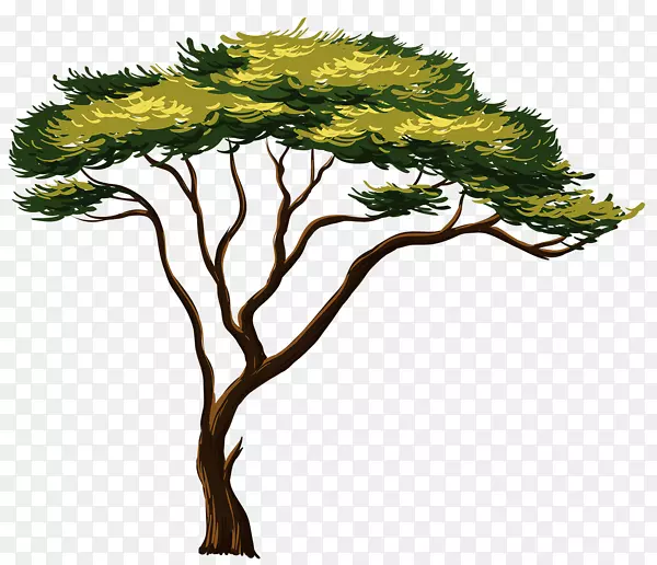非洲树木剪贴画-树水彩