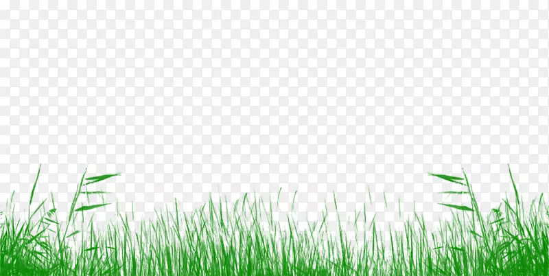 草坪草甸草地草桌面壁纸-草坪