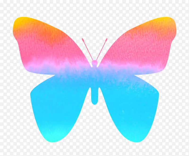蝴蝶图案-蝴蝶水彩