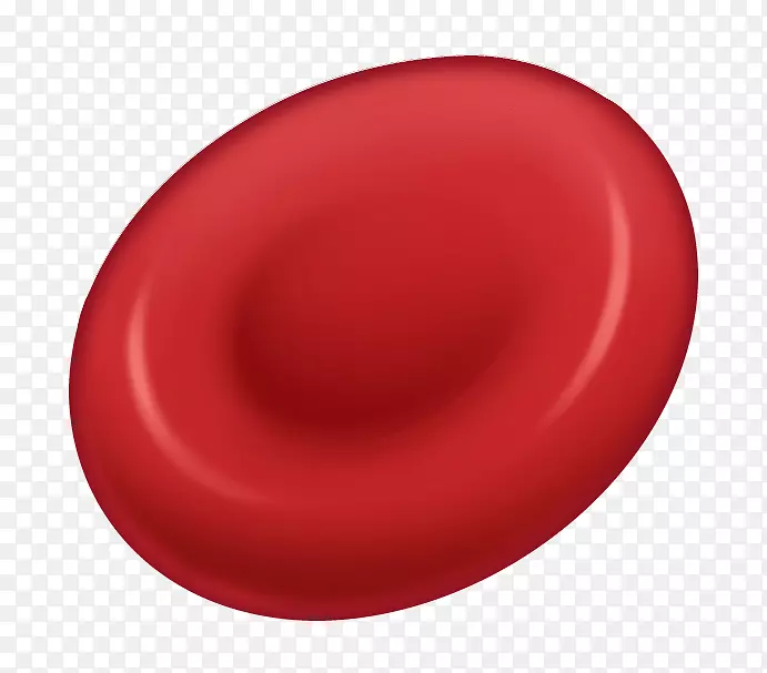 红细胞核细胞