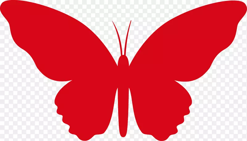 蝴蝶辅导昆虫人际关系目标-红蝴蝶