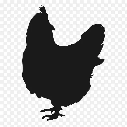 鸡块鸡肉家禽食品-母鸡