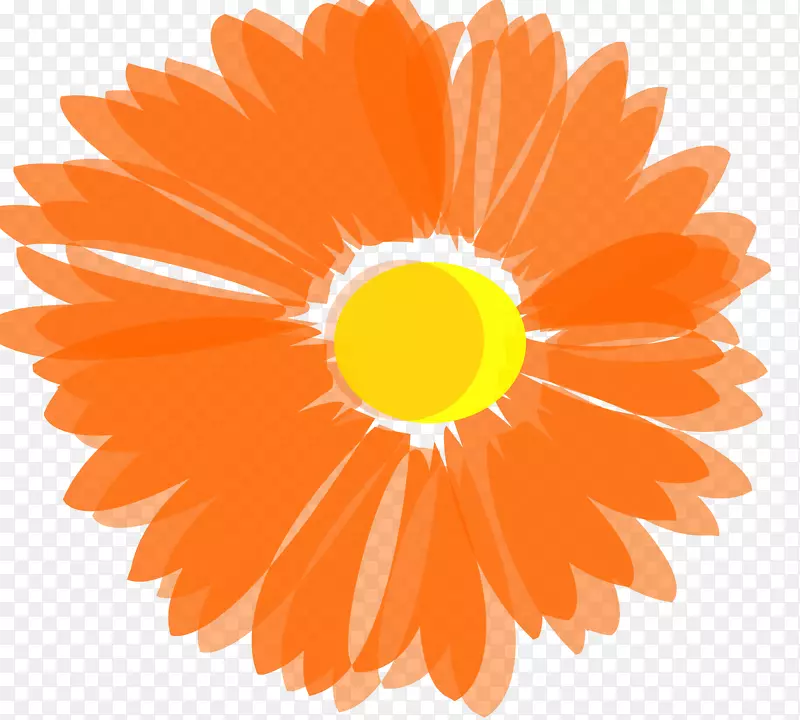 橙色花卉剪贴画.花纹