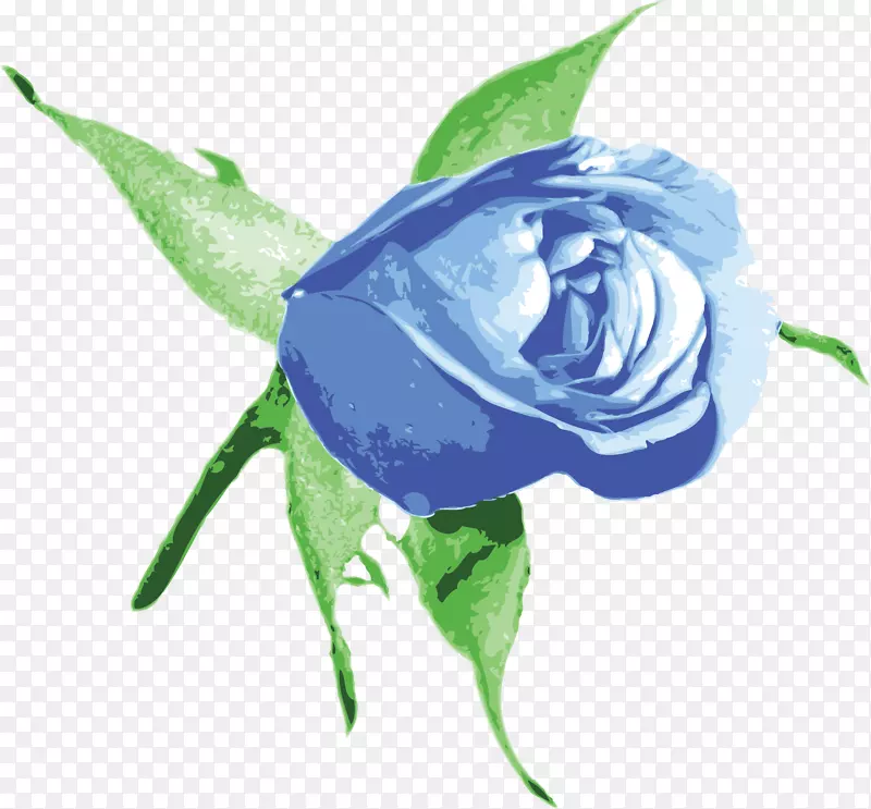 蓝色玫瑰剪贴画-蓝色玫瑰
