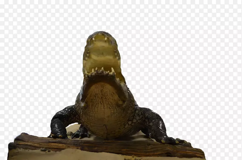 鳄鱼爬行动物雕塑-鳄鱼