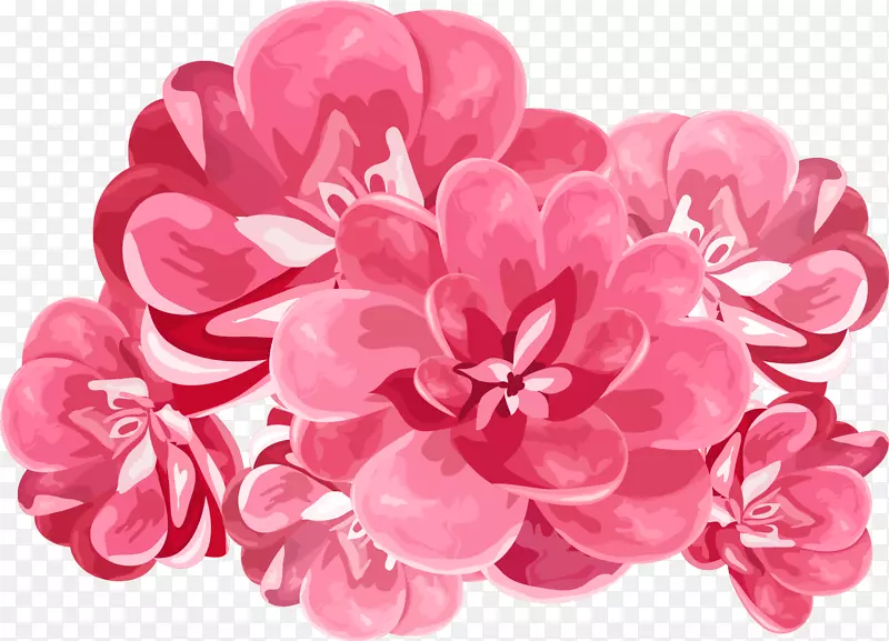 花卉水彩画剪贴画-牡丹
