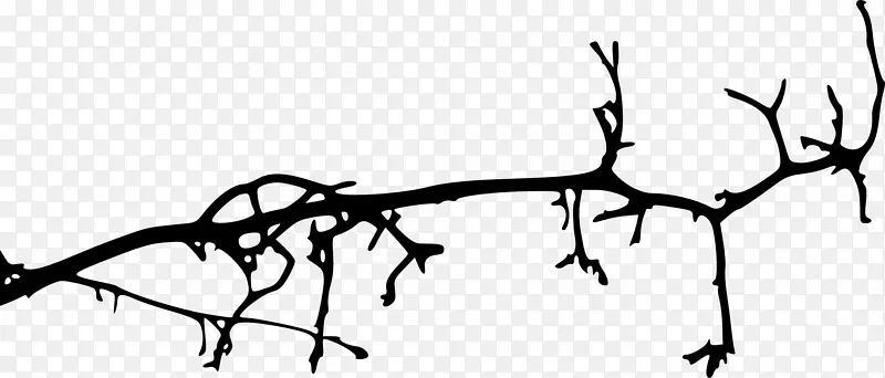 树枝轮廓-树枝