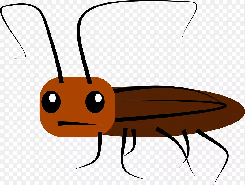 蟑螂动画剪辑艺术-蟑螂