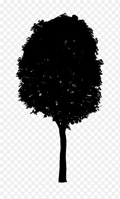 黑白树透明