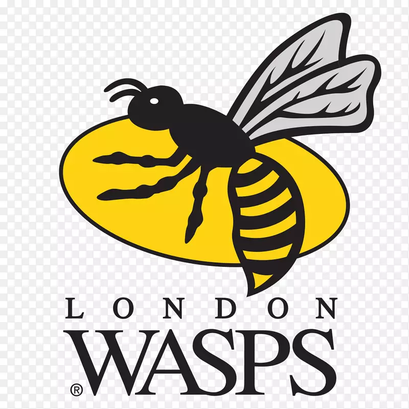 Wasps rfc理光竞技场伦敦爱尔兰格洛斯特橄榄球伍斯特勇士橄榄球